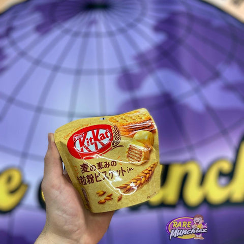 KitKat graham cracker pouch - RareMunchiez